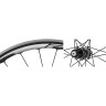 Спицы SHIMANO для WH-RS11 задние (304 мм X 10 штук/305 X 10 штук), шайбы (20 штук) EWHSPOKE3VB1
